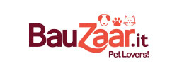 Bauzaar